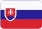 Bílá korková magnetická tabule Slovensky